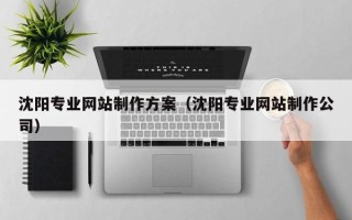 海丰沈阳专业网站制作方案（沈阳专业网站制作公司）